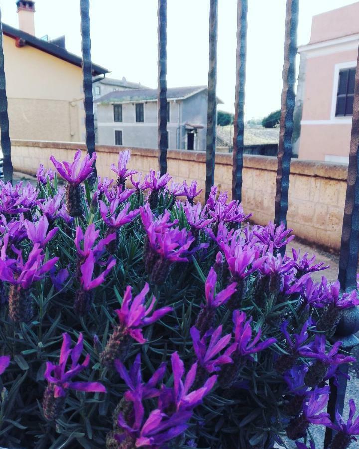 Il Palazzetto Sulla Francigena Daire Formello Dış mekan fotoğraf