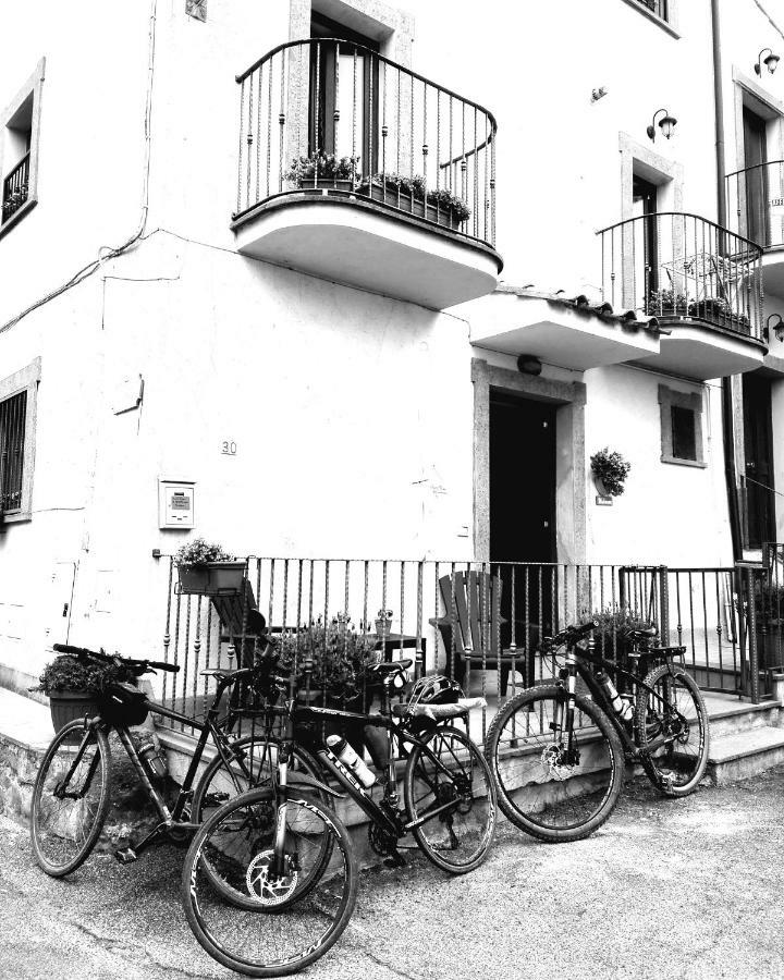 Il Palazzetto Sulla Francigena Daire Formello Dış mekan fotoğraf